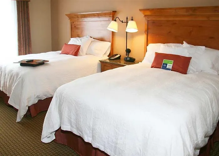 Hampton & Hotel Buffalo