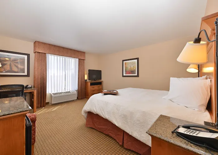 Hampton & 3* Buffalo