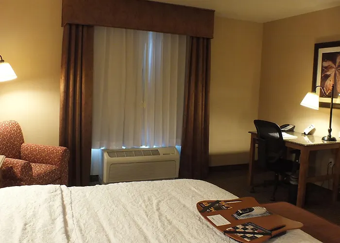 Hampton & 3* Buffalo